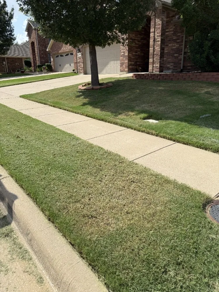 Local lawn care service in Crowley, TX - English Home Services