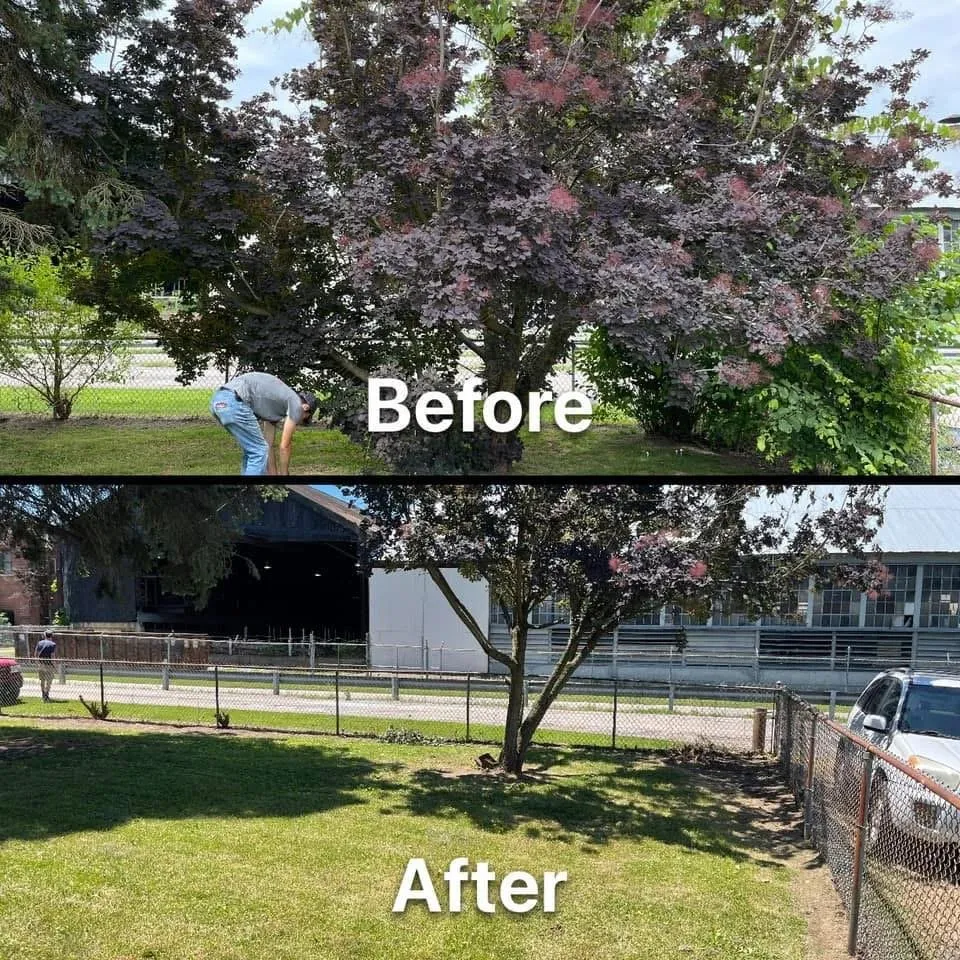 Custom lawn care service experts serving Chicopee, MA - English Towers Landscaping