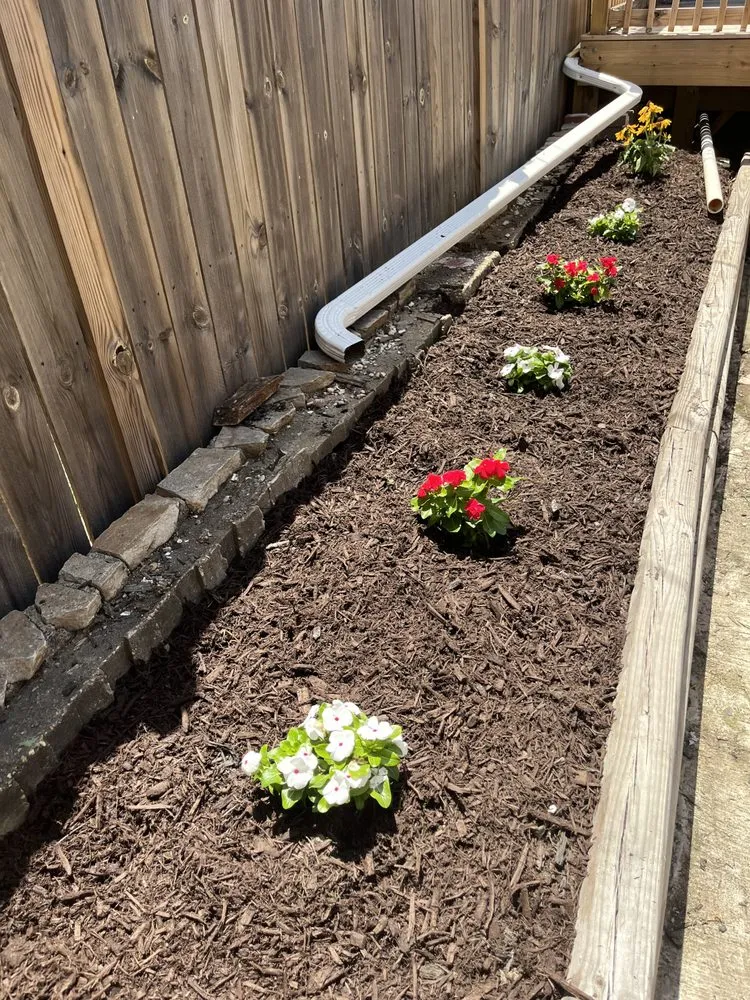 Top-rated yard cleanup service in Timonium, MD by Engreen Landscape