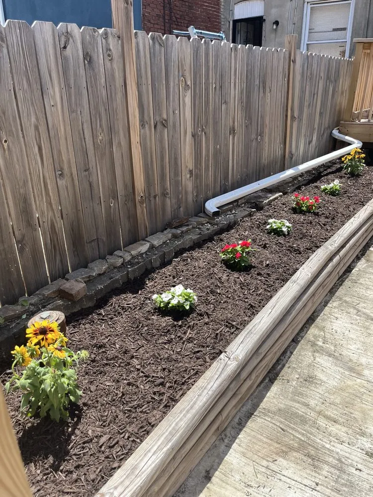 Local yard cleanup service experts serving Timonium, MD - Engreen Landscape