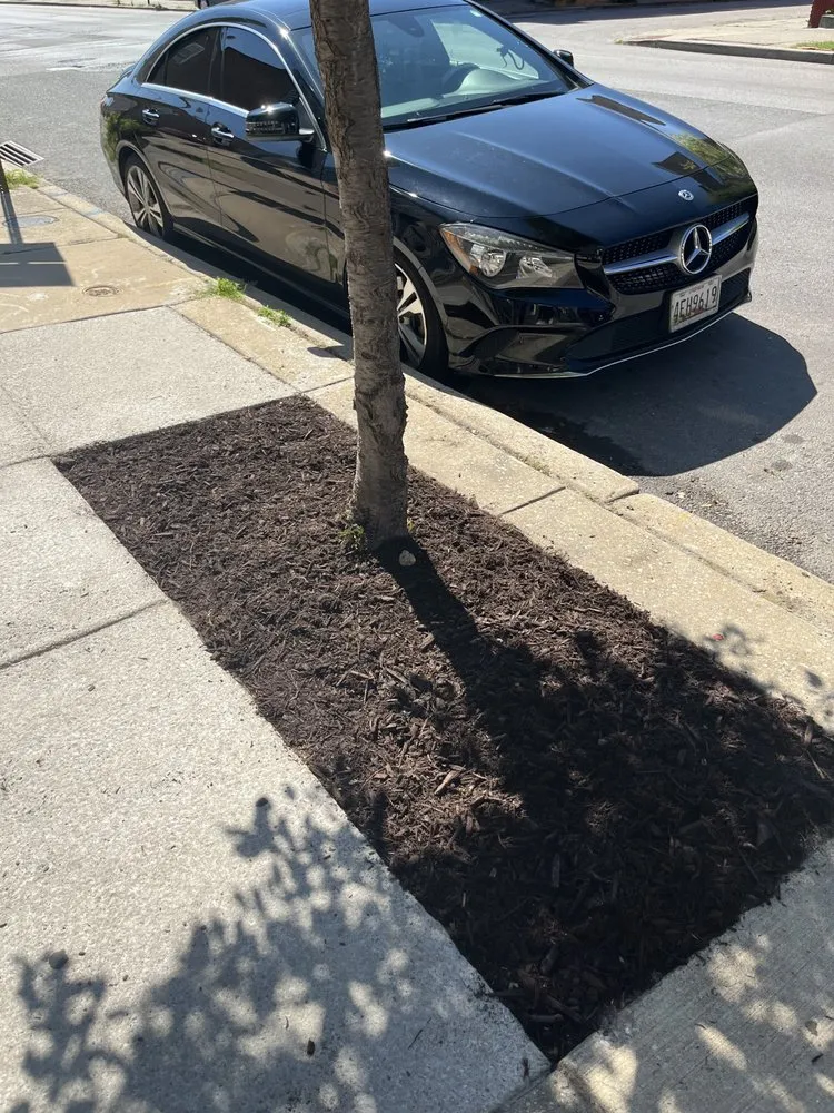 Reliable lawn care service in Timonium, MD by Engreen Landscape