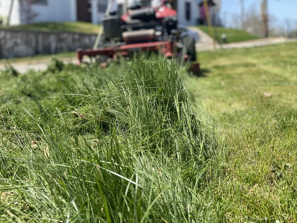 Reliable residential landscaping for year-round maintenance in Saint Louis, MO by Enhance Home and Lawn