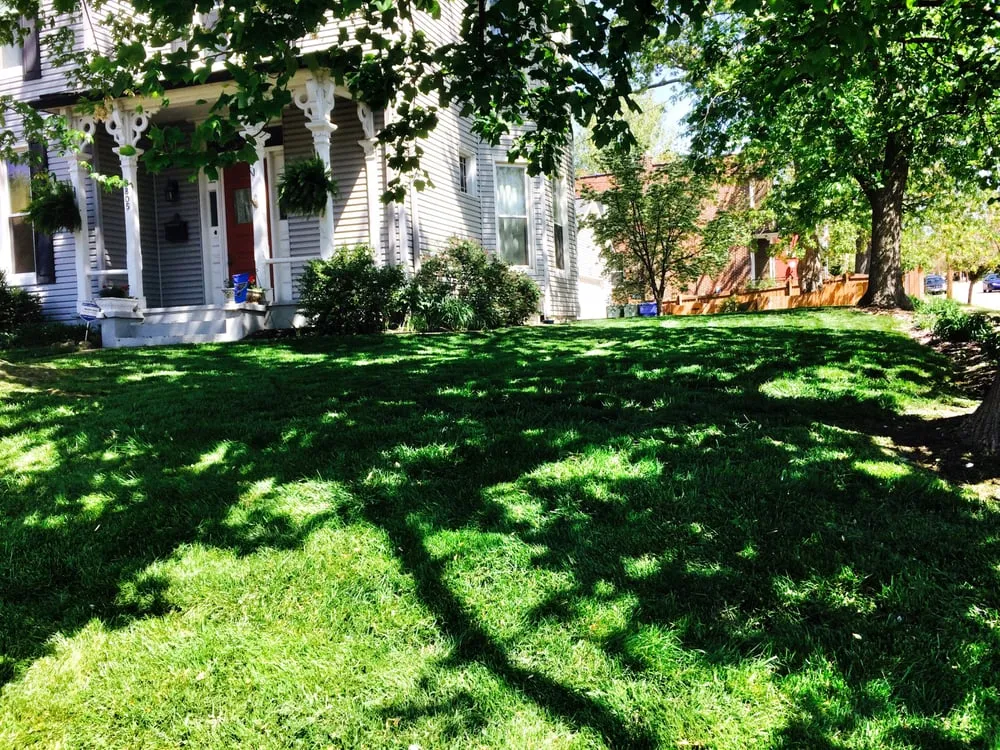 Affordable residential landscaping in Saint Louis, MO - Enhance Home and Lawn