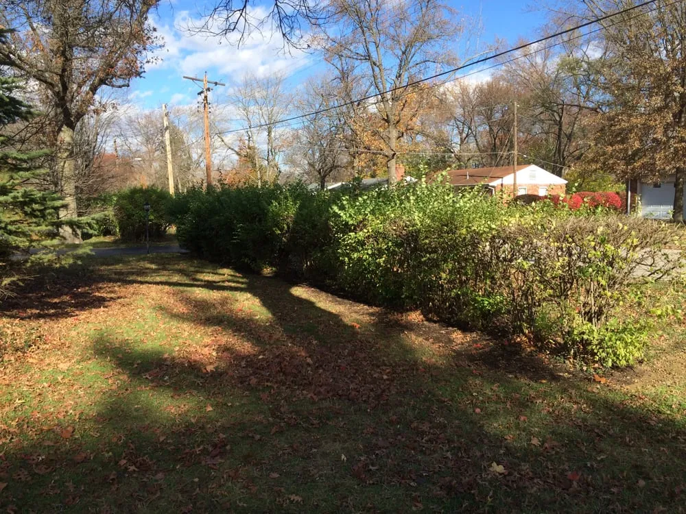 Trusted landscaping services for year-round maintenance across Saint Louis, MO - Enhance Home and Lawn