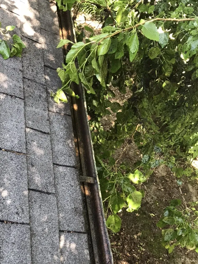 Custom landscape design experts serving Saint Louis, MO - Enhance Home and Lawn