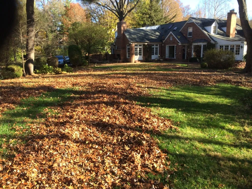 Expert yard maintenance in Saint Louis, MO by Enhance Home and Lawn