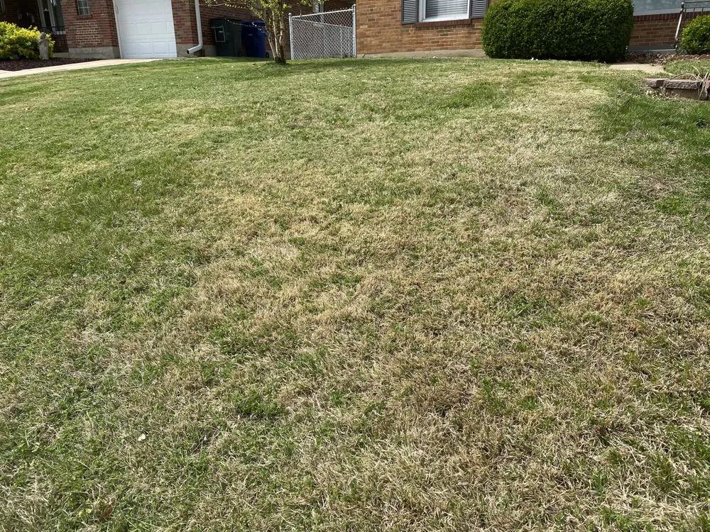 Top-rated lawn care service experts serving Saint Louis, MO - Enhance Home and Lawn