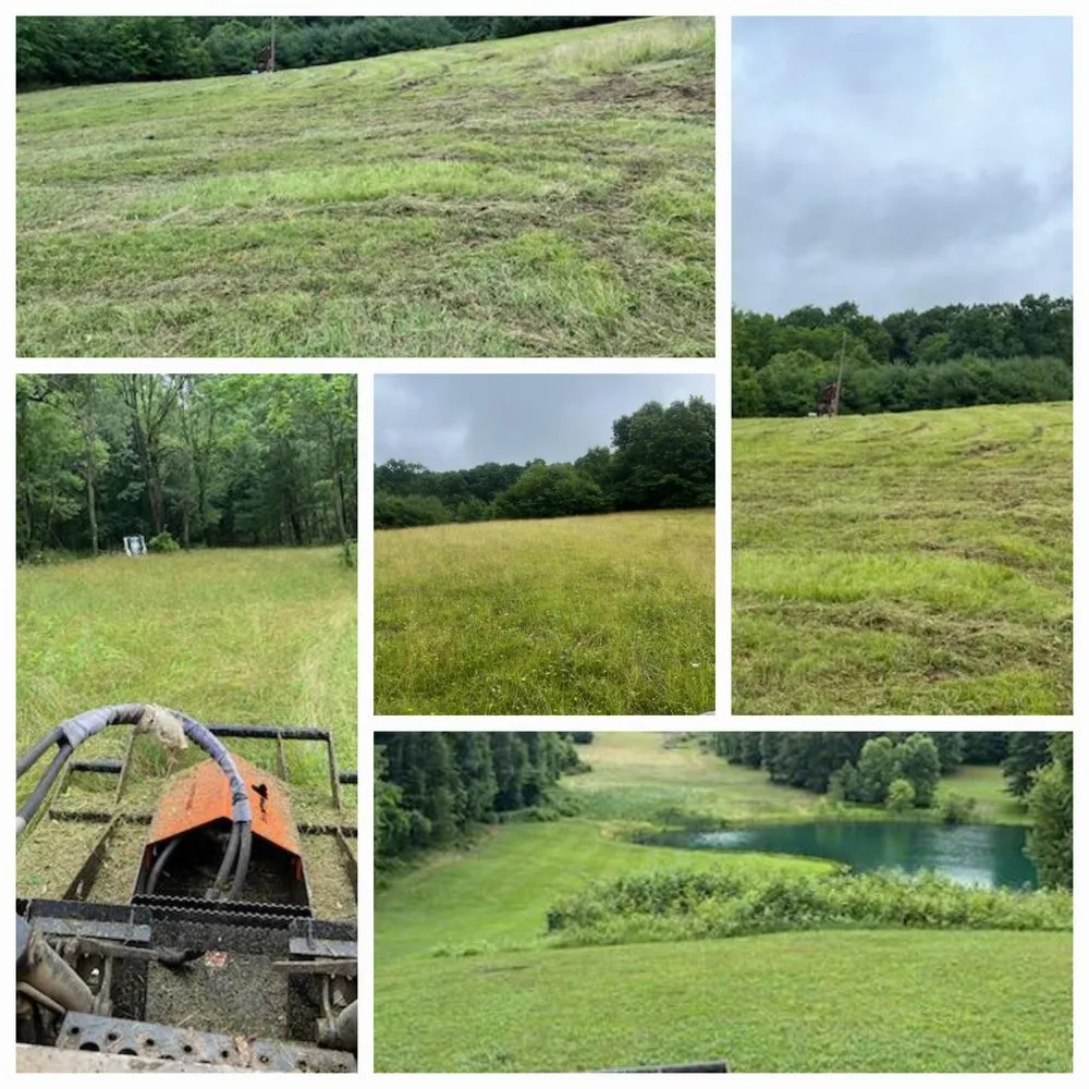 Trusted yard maintenance in Canton, OH by Enhanced Cleanouts