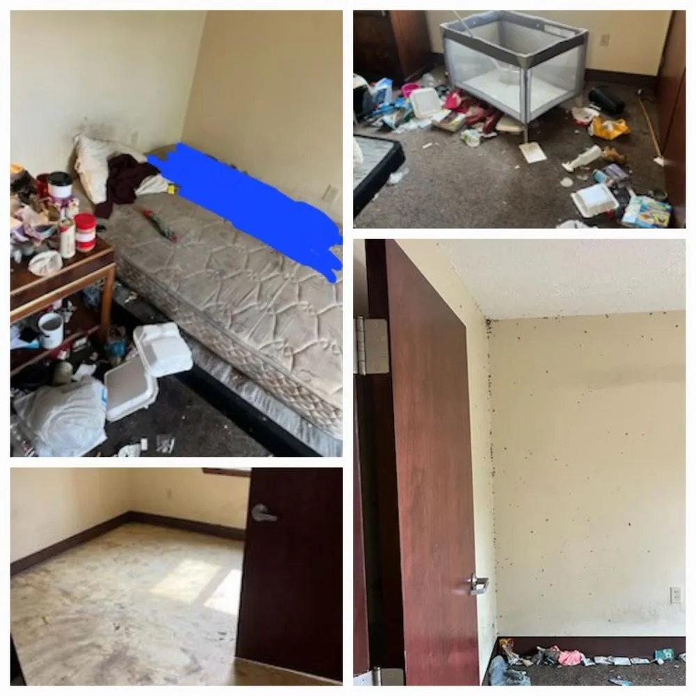 Reliable yard cleanup service experts serving Canton, OH - Enhanced Cleanouts