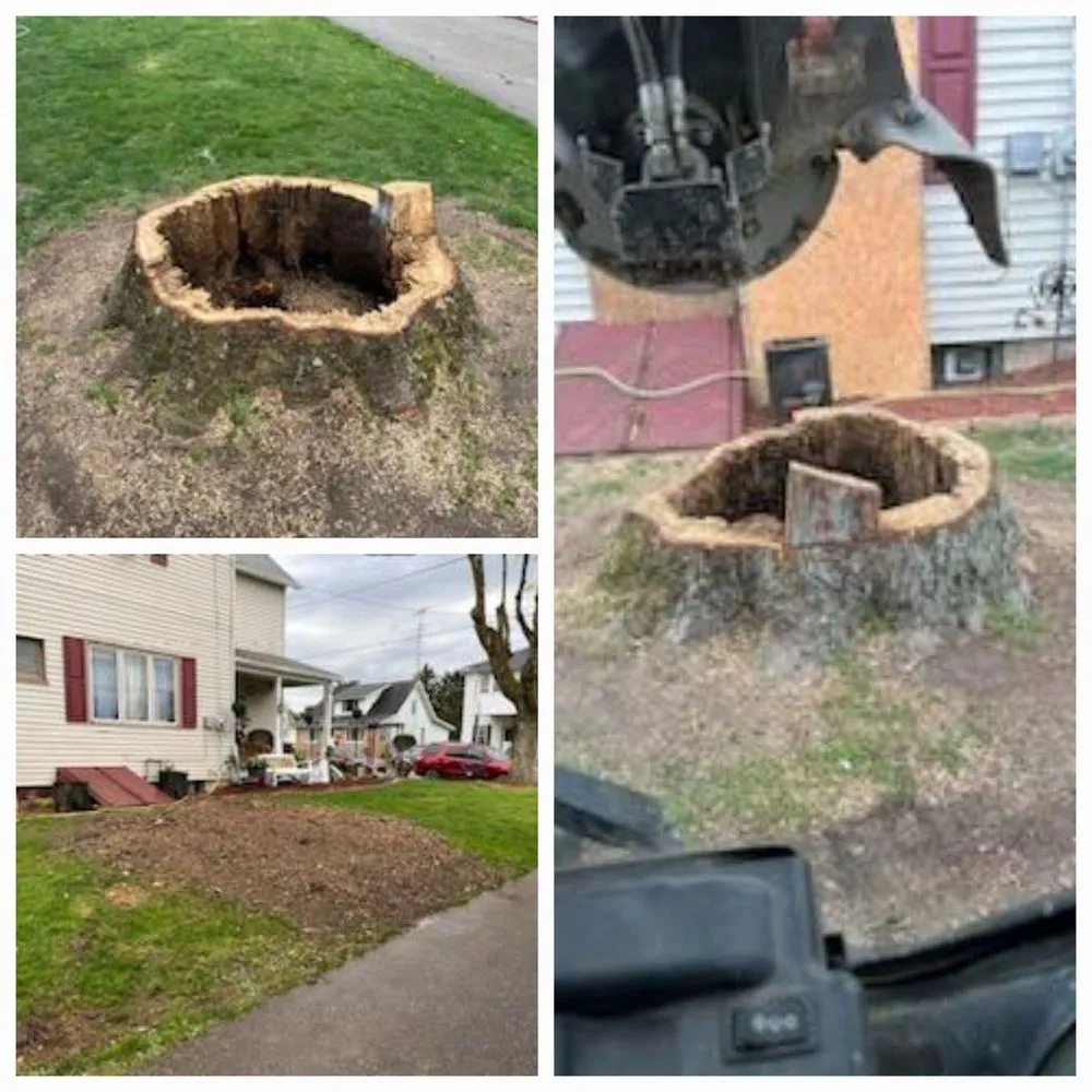 Top-rated landscaping services in Canton, OH by Enhanced Cleanouts