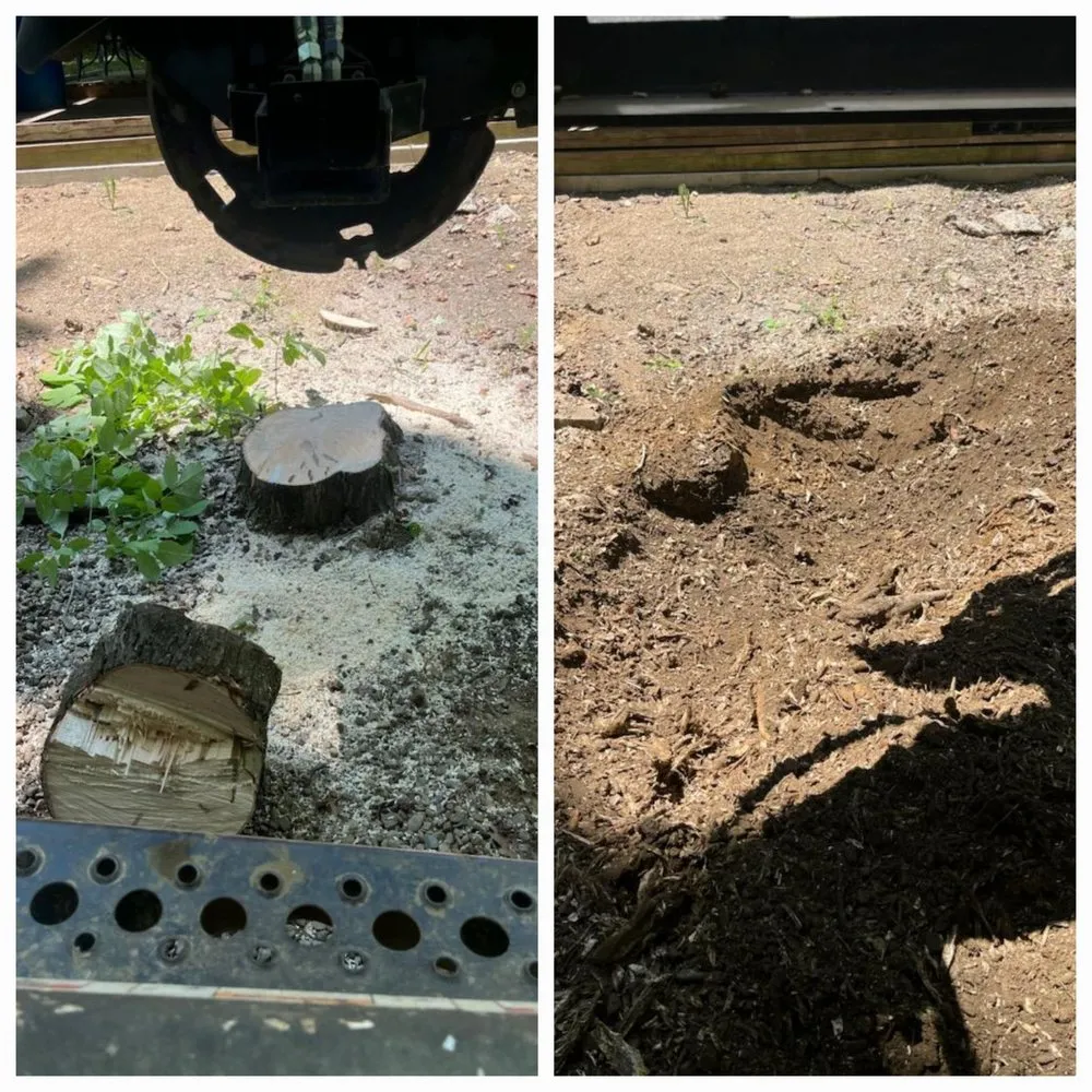 Professional landscaping services in Canton, OH by Enhanced Cleanouts