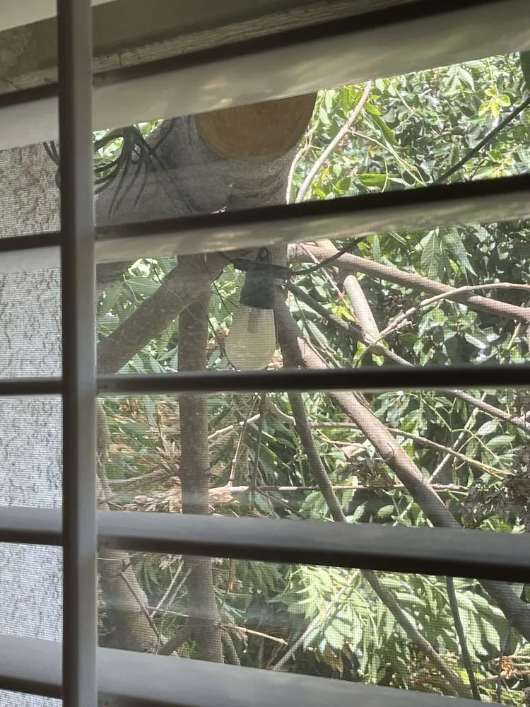 Top-rated lawn mowing service with custom design across Santa Clarita, CA - Enhanced Landscape Management