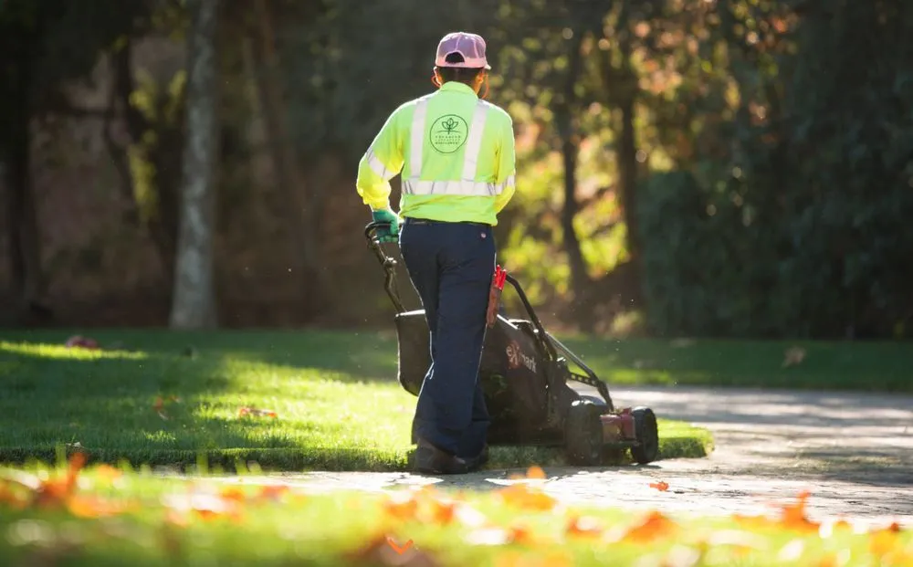 Reliable yard maintenance in Thousand Oaks, CA - Enhanced Landscape Management