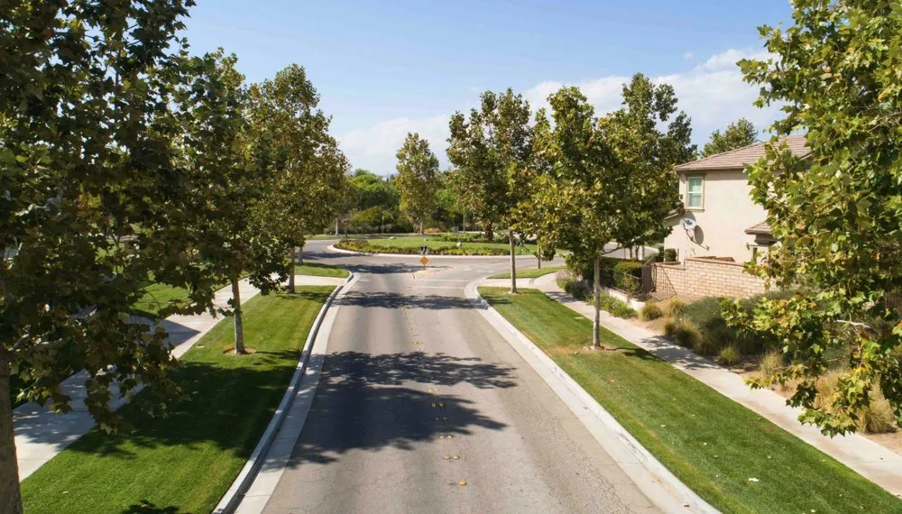 Custom outdoor landscaping in Thousand Oaks, CA - Enhanced Landscape Management