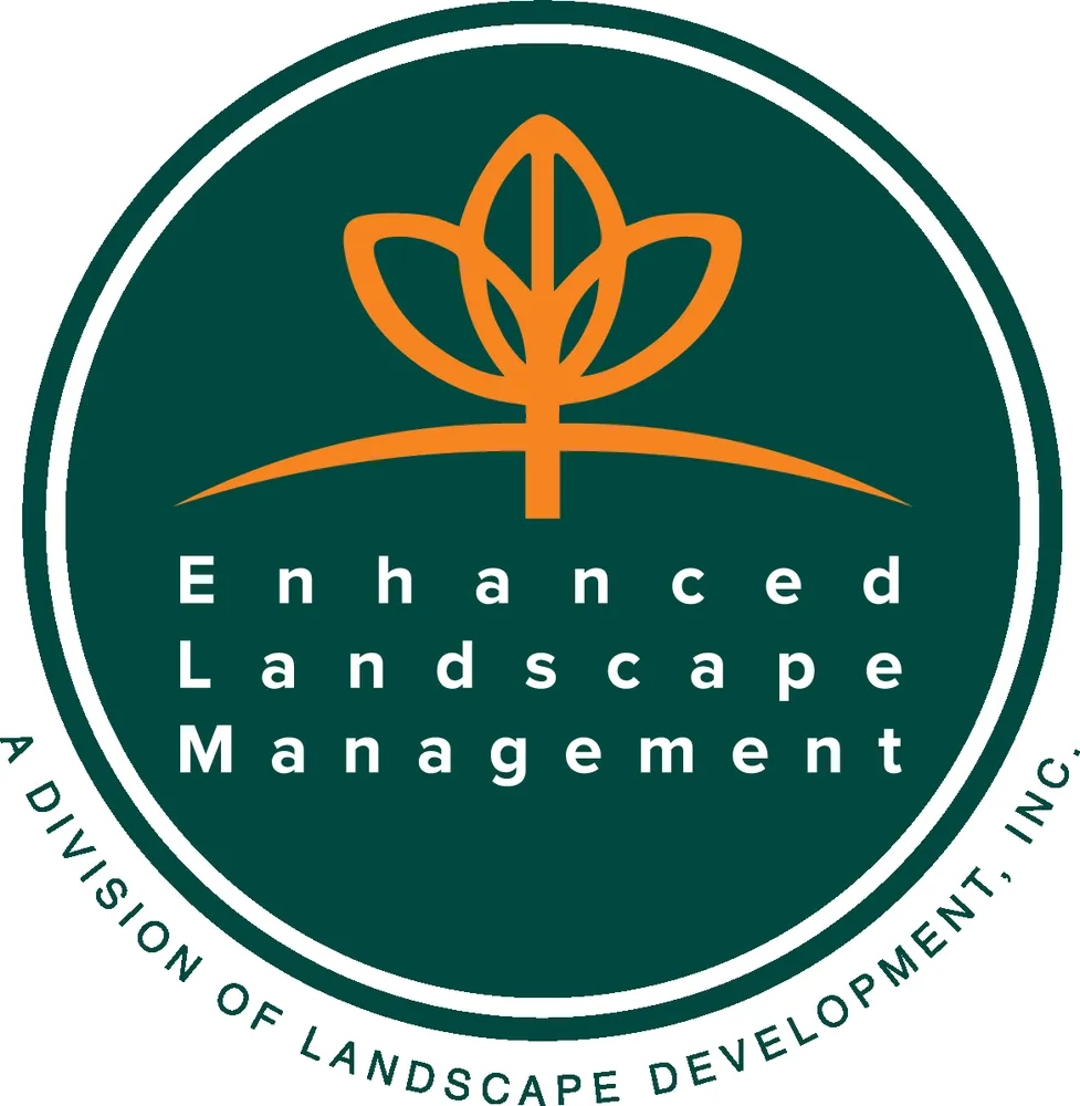 Professional yard cleanup service in Thousand Oaks, CA by Enhanced Landscape Management