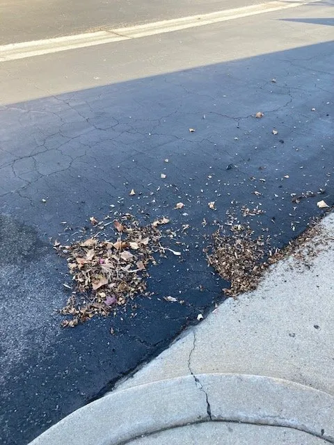 Local residential landscaping in Thousand Oaks, CA by Enhanced Landscape Management