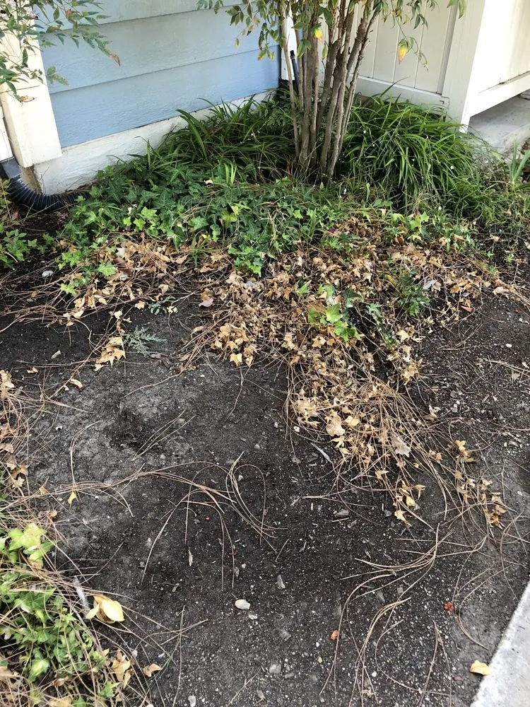 Reliable yard cleanup service experts serving Thousand Oaks, CA - Enhanced Landscape Management