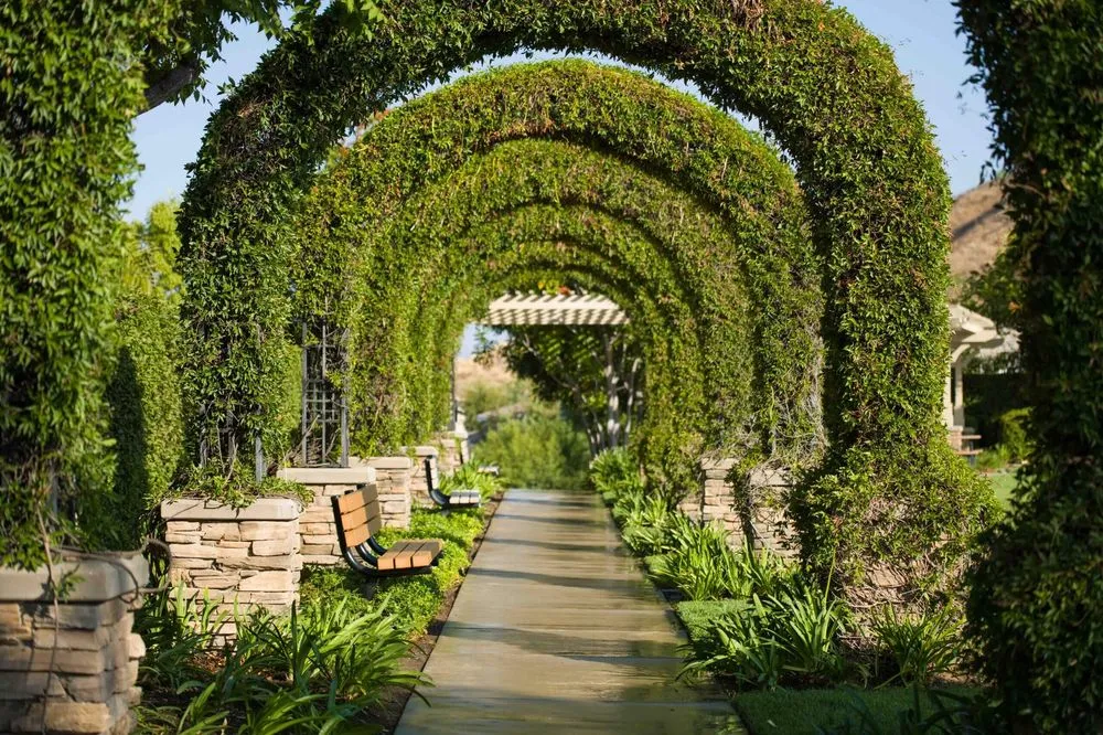 Expert garden landscaping experts serving Valencia, CA - Enhanced Landscape Management