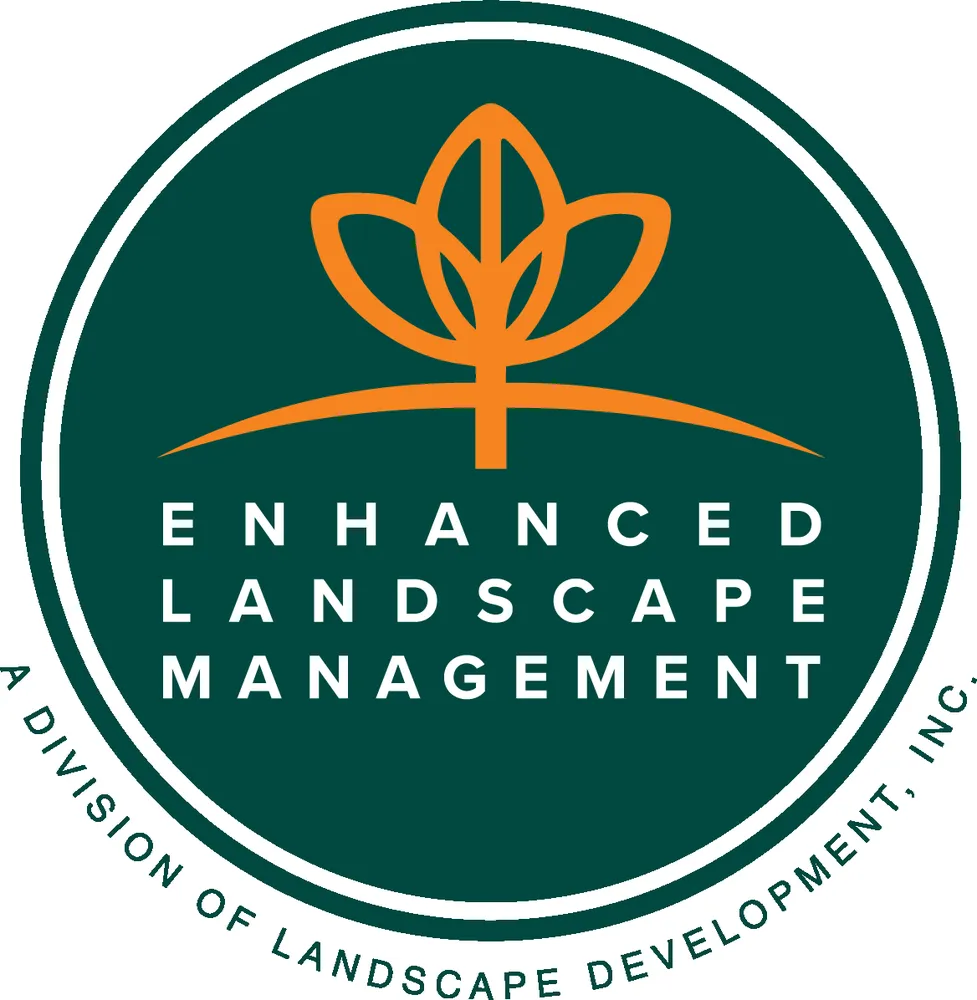 Expert outdoor landscaping in Valencia, CA by Enhanced Landscape Management
