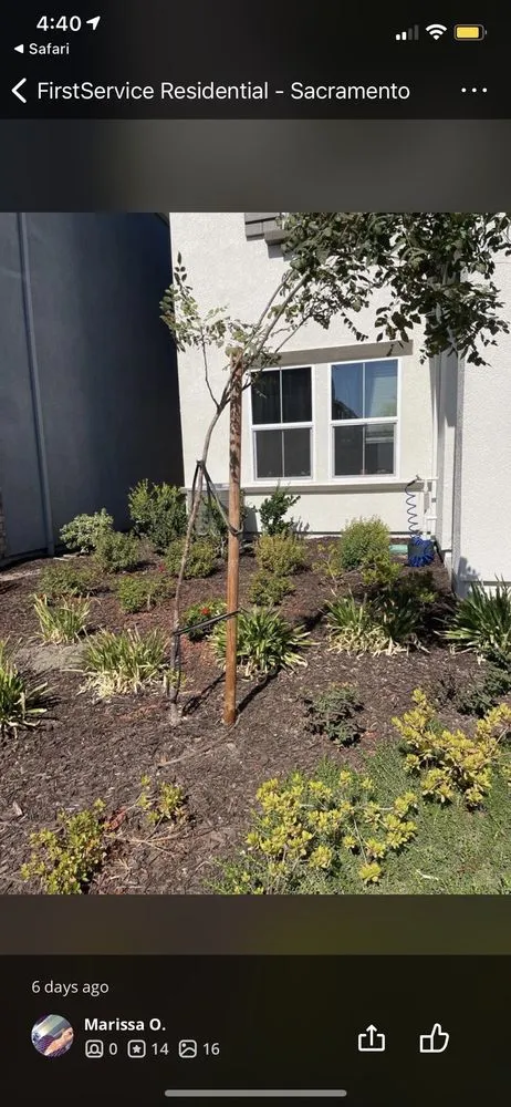 Top-rated residential landscaping for beautiful yards in Valencia, CA by Enhanced Landscape Management