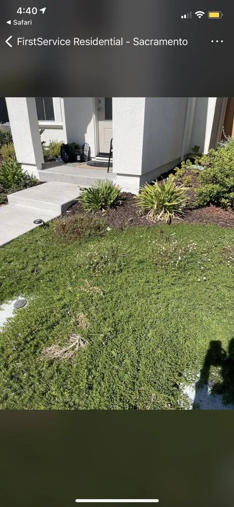 Affordable landscape installation in Valencia, CA - Enhanced Landscape Management