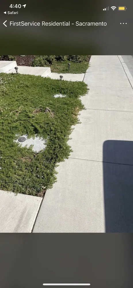 Custom yard maintenance experts serving Valencia, CA - Enhanced Landscape Management