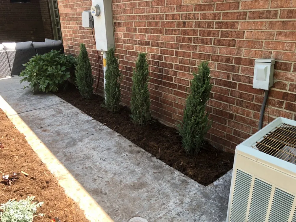 Professional yard cleanup service in Oklahoma City, OK - Enhanced Landscape