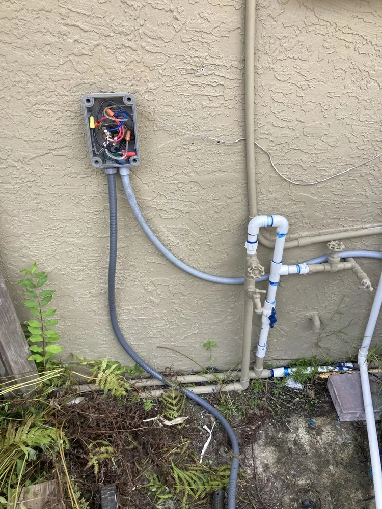 Expert yard cleanup service for year-round maintenance across Port St Lucie, FL - Enhanced Landscapes