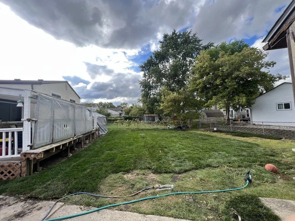 Top-rated yard cleanup service for year-round maintenance across Sterling Heights, MI - Enhanced Landscaping