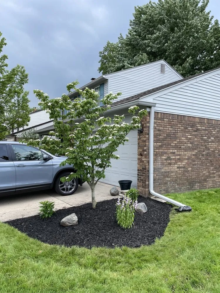 Professional yard cleanup service in Sterling Heights, MI by Enhanced Landscaping