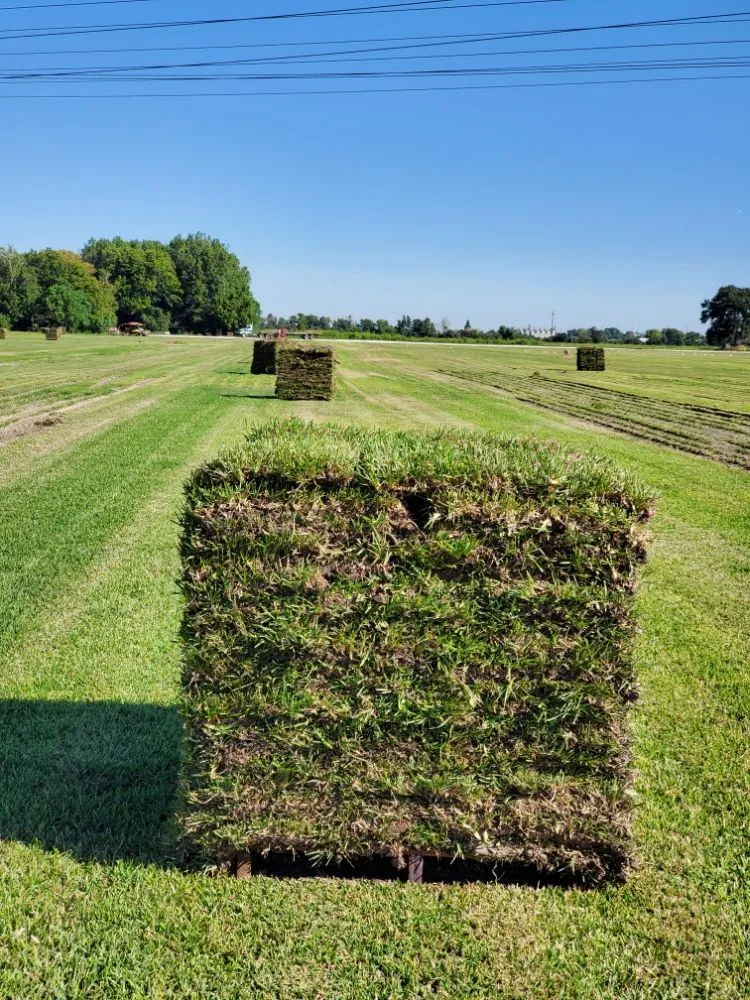 Top-rated landscape installation in Atascocita, TX - Enhanced Lawn Care