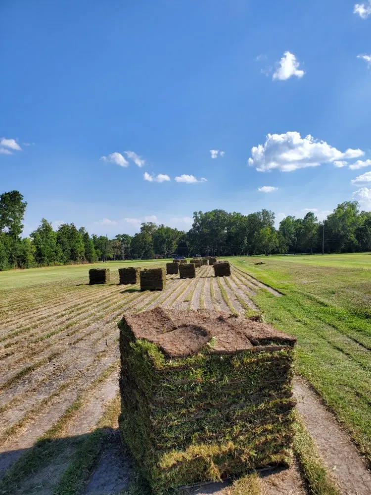 Custom landscaping services in Atascocita, TX - Enhanced Lawn Care