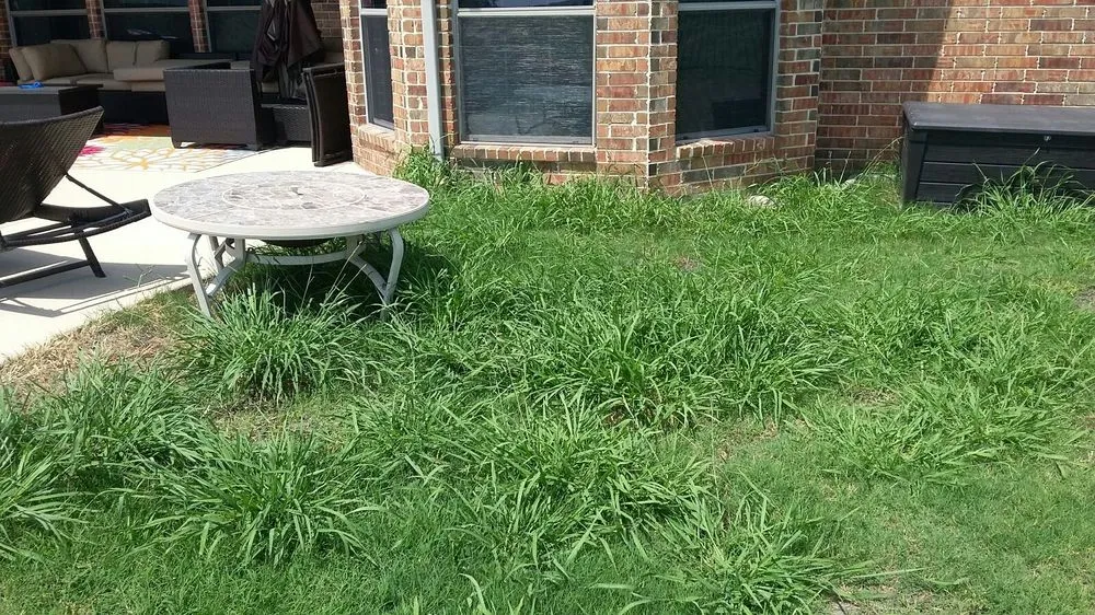 Reliable lawn mowing service in Mesquite, TX by Enhanced Views Landscape Management