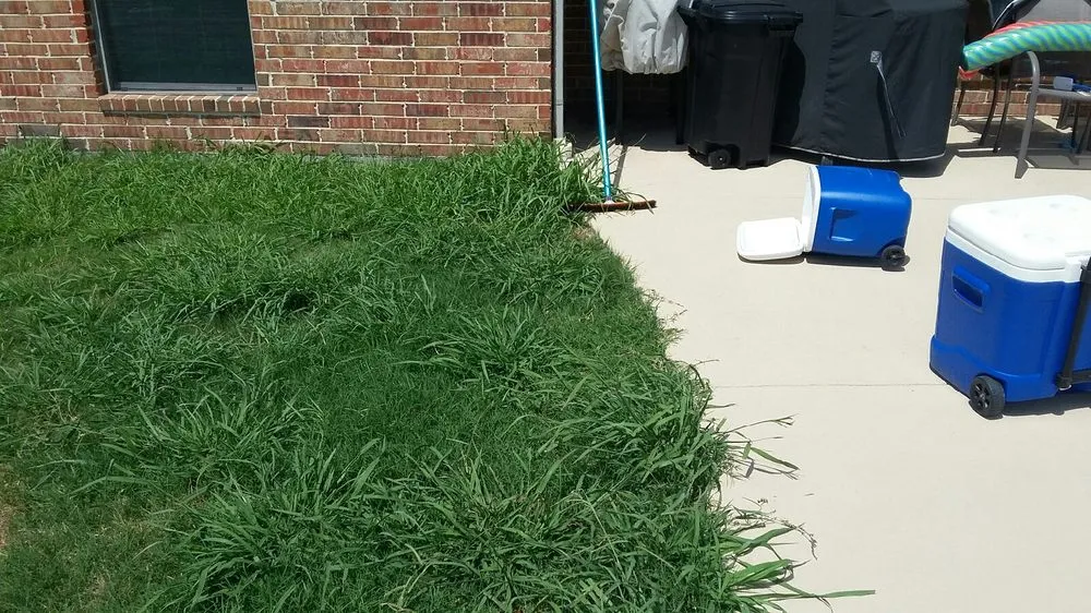 Reliable yard cleanup service for homes in Mesquite, TX by Enhanced Views Landscape Management