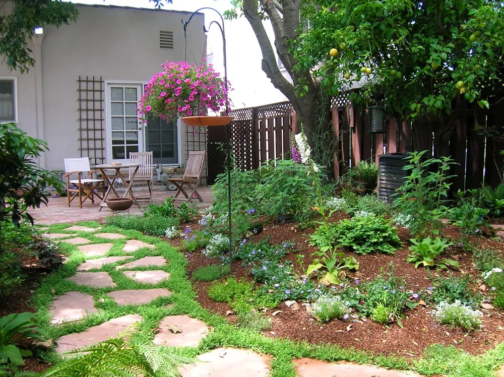 Affordable lawn care service in Los Altos, CA - Eniko Landscaping