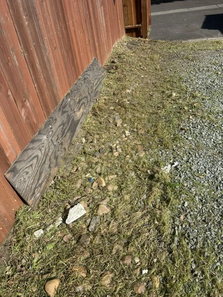 Expert yard cleanup service for year-round maintenance in Stockton, CA by Enj Junk Hauling & Landscaping