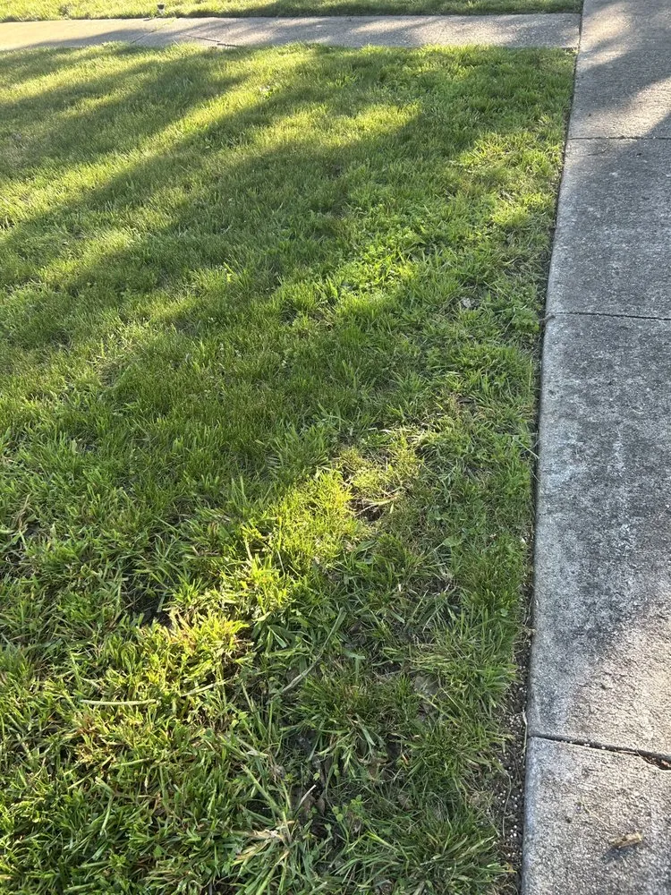 Affordable outdoor landscaping near you in Stockton, CA by Enj Junk Hauling & Landscaping