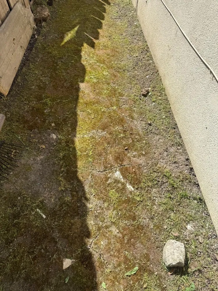 Local yard cleanup service in Stockton, CA by Enj Junk Hauling & Landscaping