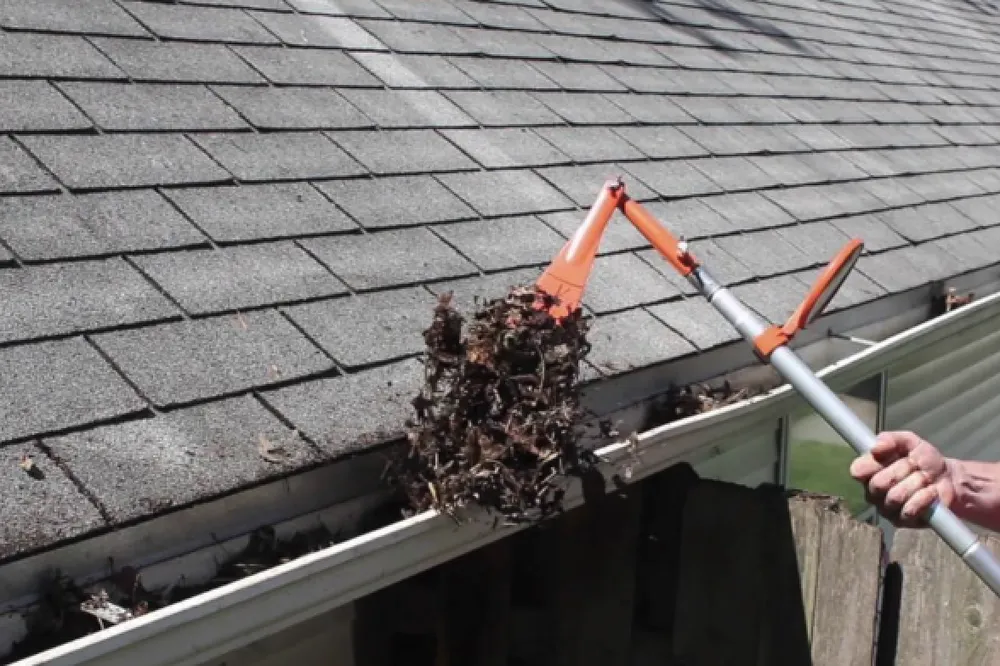 Trusted yard cleanup service experts serving Stockton, CA - Enj Landscaping