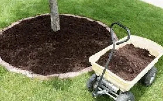 Local landscape installation in Stockton, CA - Enj Landscaping