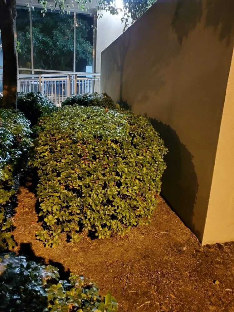 Expert landscape design for outdoor upgrades across Stockton, CA - Enj Landscaping