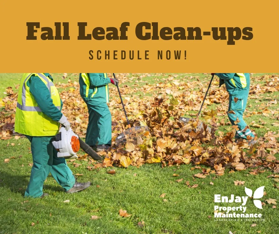 Reliable outdoor landscaping experts serving Prior Lake, MN - EnJay Property Maintenance