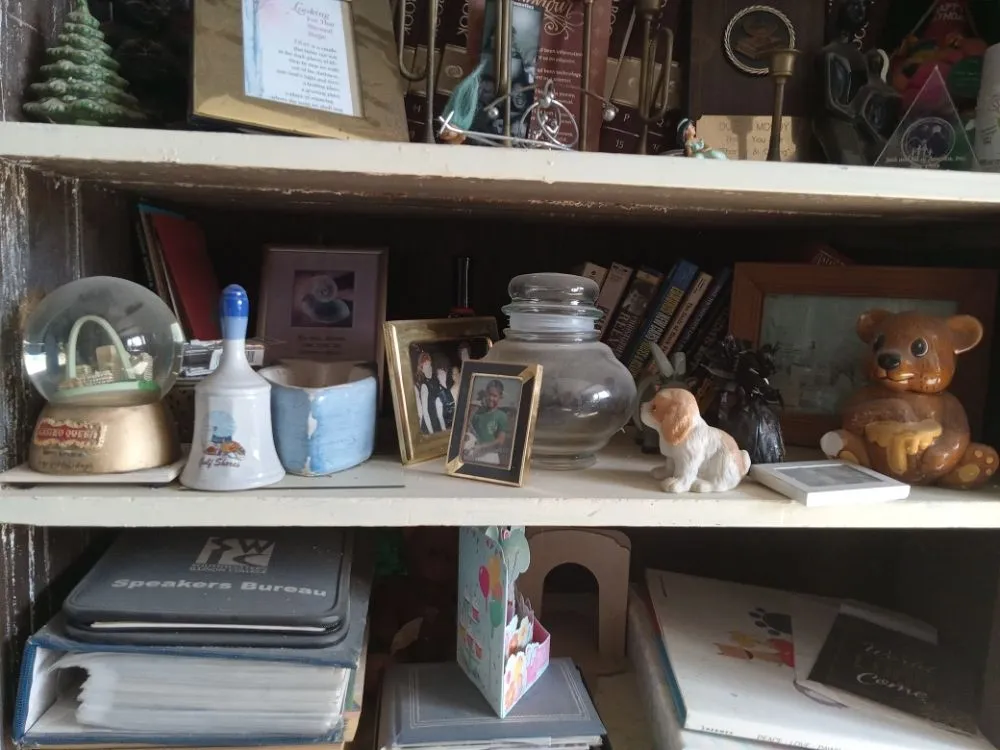 Professional yard maintenance in Swansea, IL - Enjoy Fix And Clean