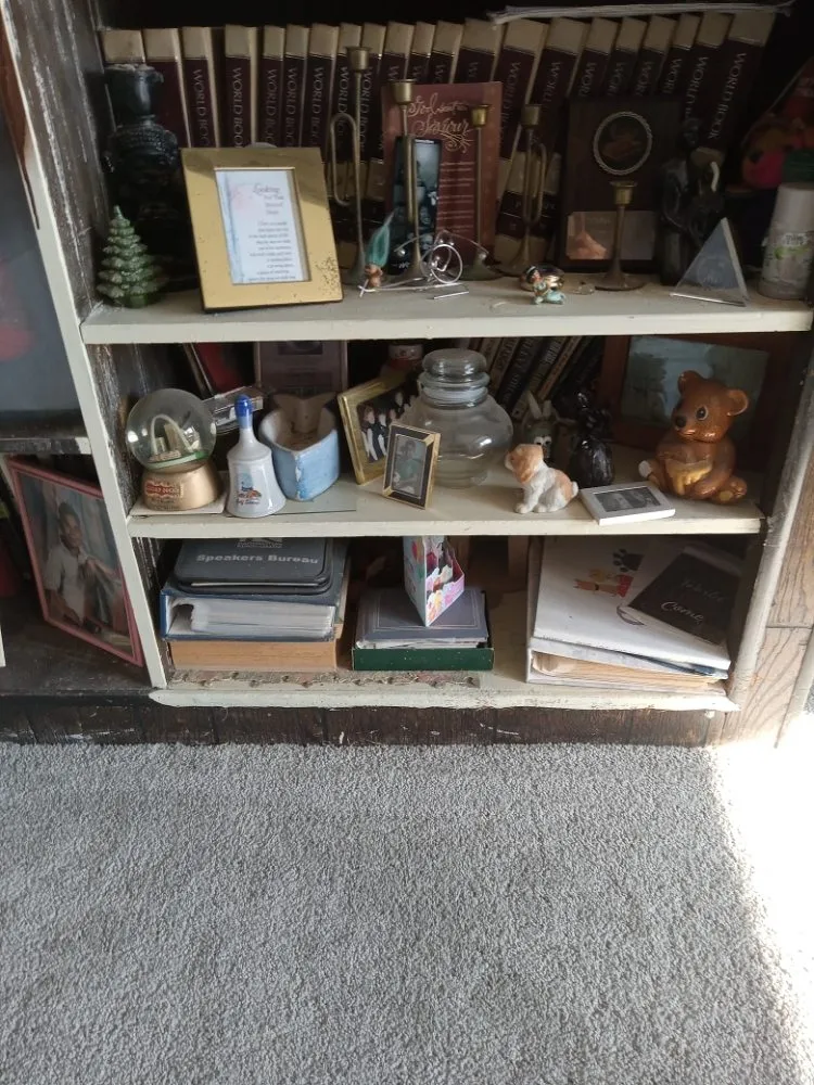 Local residential landscaping in Swansea, IL by Enjoy Fix And Clean