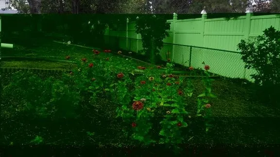 Trusted yard cleanup service in Aurora, CO by Enki Landscaping and Lawn Maintenance