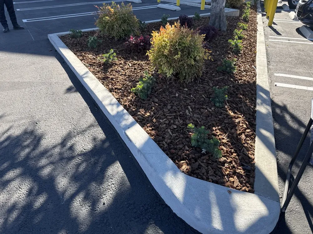 Reliable residential landscaping for homes across Los Angeles, CA - Enkijab Landscape