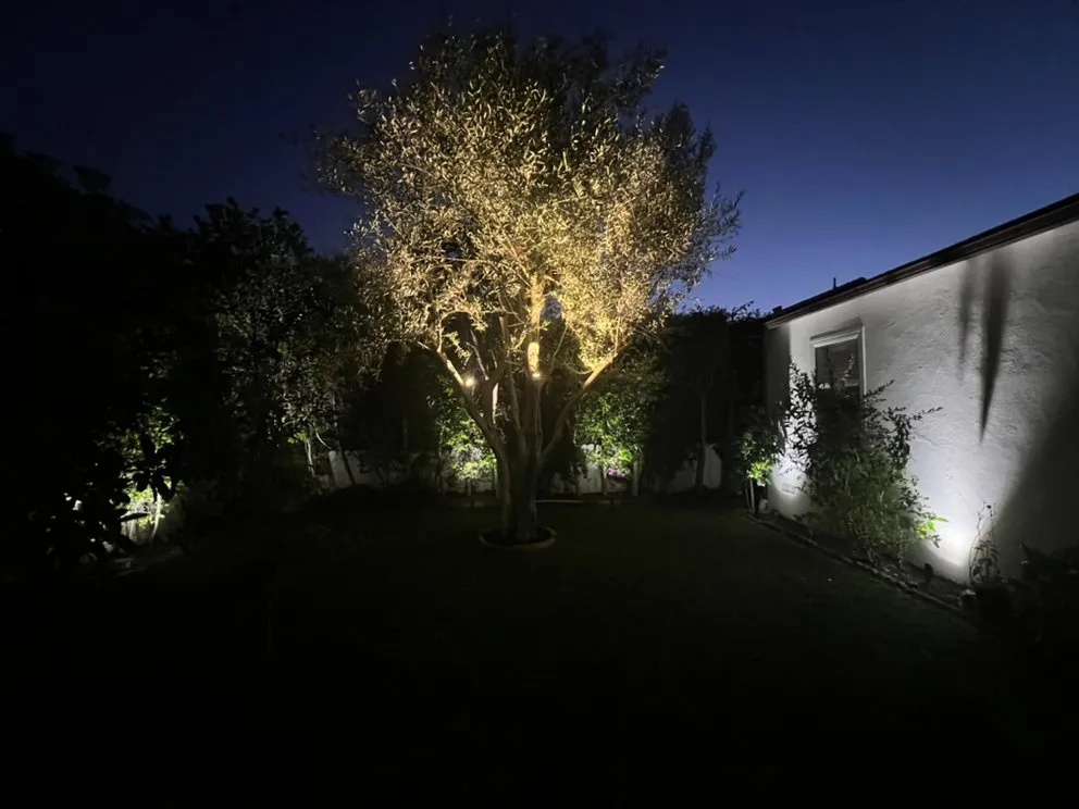 Top-rated lawn mowing service experts serving Los Angeles, CA - Enkijab Landscape