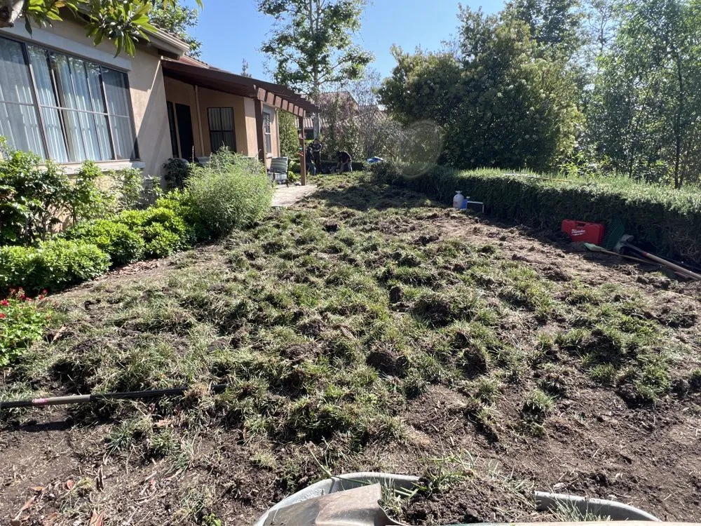 Affordable garden landscaping experts serving Los Angeles, CA - Enkijab Landscape