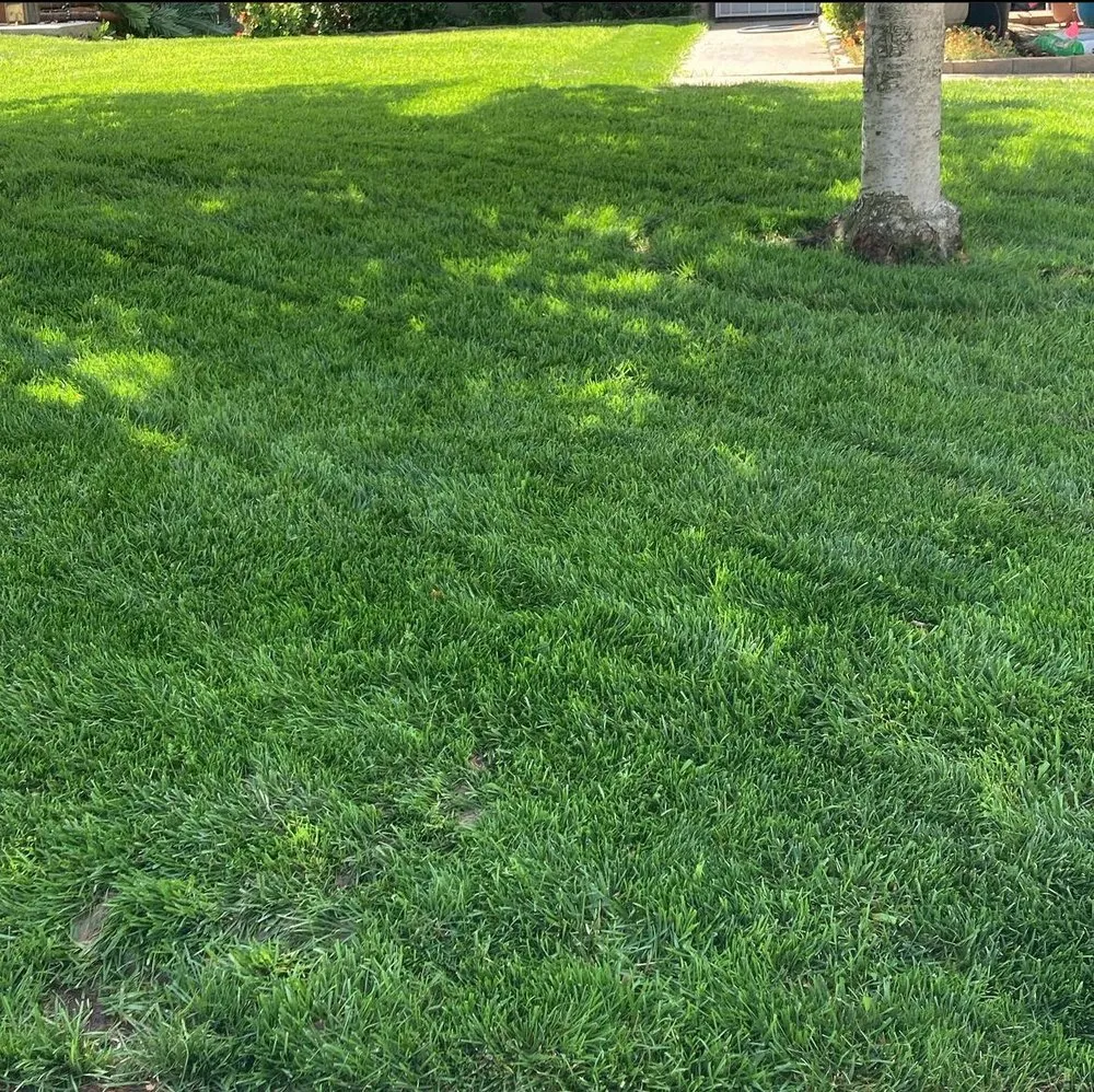 Affordable landscaping services experts serving Foothill Farms, CA - Enmanuel's Lawn Care