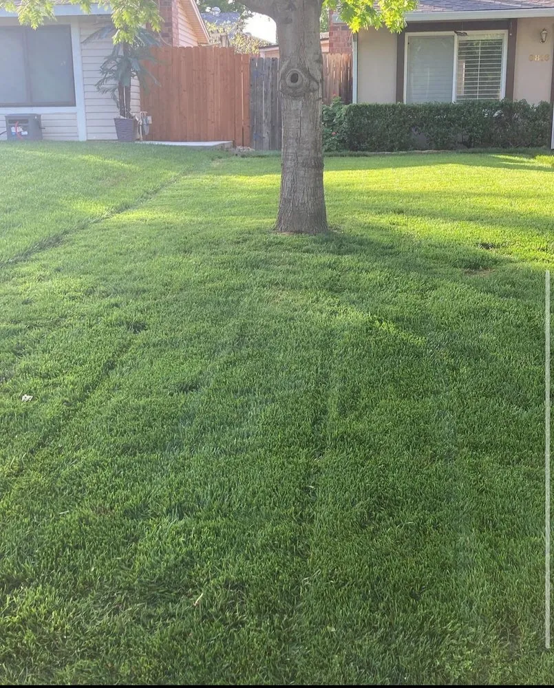 Top-rated outdoor landscaping experts serving Foothill Farms, CA - Enmanuel's Lawn Care